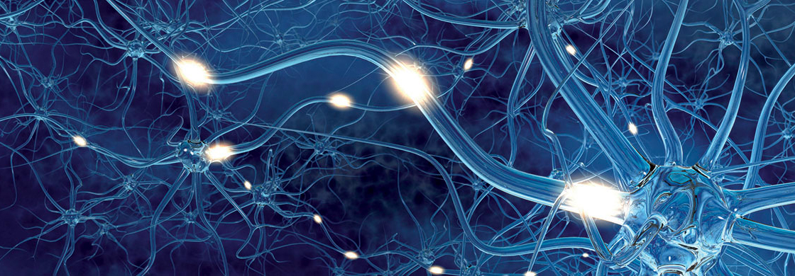 Etudes référencées de l'IRME sur les blessures du cerveau et les blessures de la col